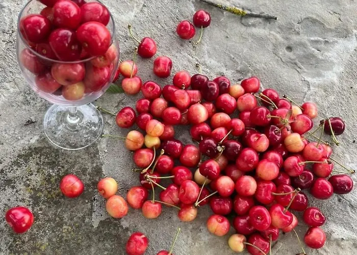 Roccaverano In Cascina Bricco By Interhome Appartamento